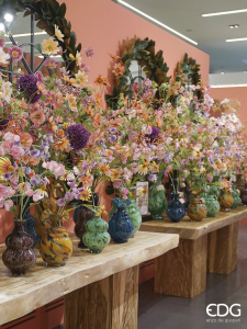 Космея декоративная EDG Cosmos двухцветный розовый Фото 6