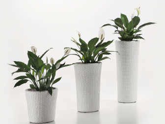 Кашпо плетеное-thumbs-Фото4