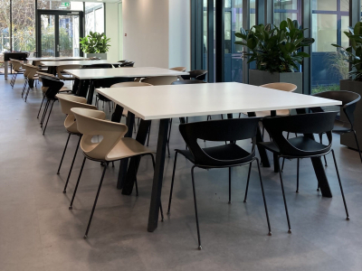 Software company, Горинхем, Нидерланды