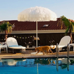 Зонт профессиональный Ø2 м-thumbs-Фото1