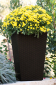 Кашпо пластиковое Keter Rattan Planter M пластик с имитацией плетения коричневый Фото 7