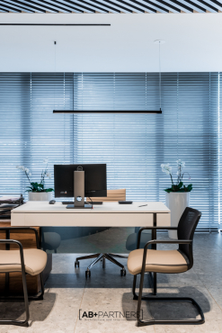 GBG Headquarters, Office Spaces and Reception, Кишинев, Молдова