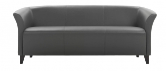 Диван прямой трехместный-thumbs-Фото3