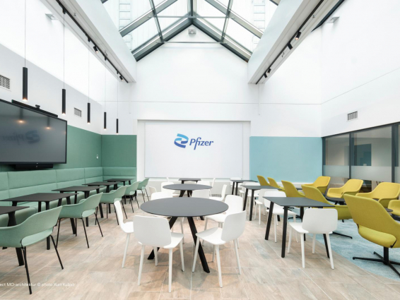 Проекты - Pfizer Manufacturing, Вена, Австрия