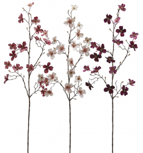 Корнус декоративный EDG Cornus розовый микс Фото 1