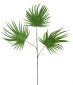 Ветвь пальмы декоративная EDG Palm светло-зеленый Фото 1
