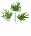 Ветвь пальмы декоративная Palm