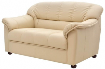 Диван прямой двухместный-thumbs-Фото1