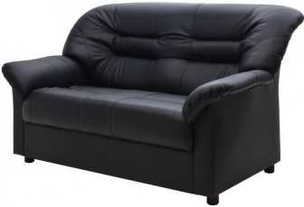 Диван прямой двухместный-thumbs-Фото1