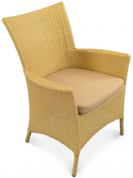 Кресло плетеное с подушкой-thumbs-Фото1