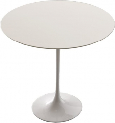 Стол ламинированный-thumbs-Фото1