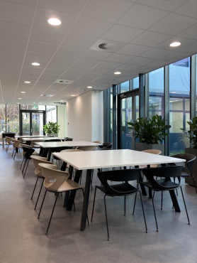 Software company, Горинхем, Нидерланды