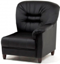 Диван модульный с подлокотником Профдиван Премьер дерево, кожа черный Фото 1