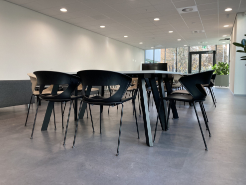 Software company, Горинхем, Нидерланды