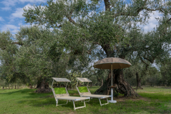 Зонт профессиональный Ø2.4 м-thumbs-Фото1