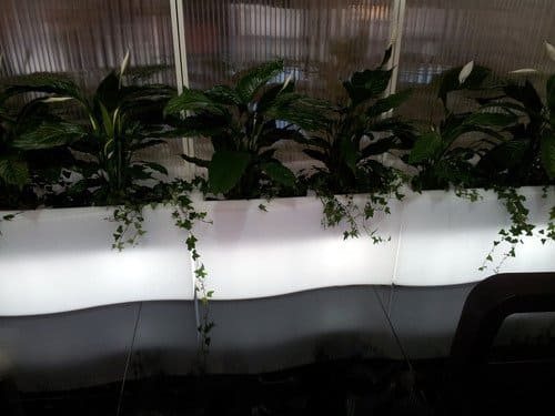 Кашпо пластиковое светящееся Prive Lighting