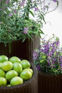 Набор пластиковых кашпо Keter Cylinder Planters пластик с имитацией плетения коричневый Фото 7