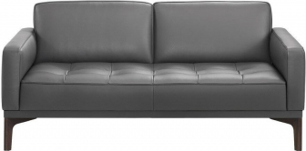 Диван прямой двухместный-thumbs-Фото1