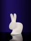 Светильник пластиковый напольный Qeeboo Rabbit OUT полиэтилен полупрозрачный Фото 4