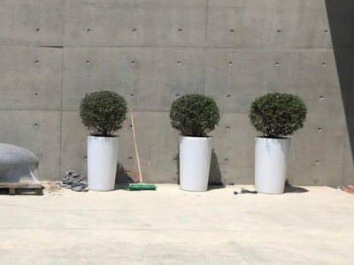 Частный проект