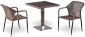 Комплект плетеной мебели Afina T502DG/Y35G-W1289 Pale 2Pcs искусственный ротанг, сталь палевый Фото 1