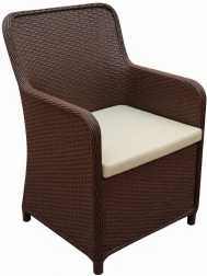 Кресло плетеное с подушками-thumbs-Фото1