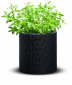 Набор пластиковых кашпо Keter Cylinder Planters пластик с имитацией плетения антрацит Фото 6