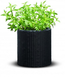 Набор пластиковых кашпо Keter Cylinder Planters пластик с имитацией плетения антрацит Фото 6