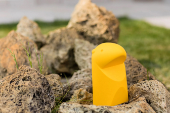 Сурок декоративный Mini Marmotta