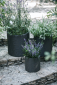 Набор пластиковых кашпо Keter Cylinder Planters пластик с имитацией плетения антрацит Фото 4