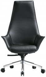 Кресло для руководителя-thumbs-Фото1