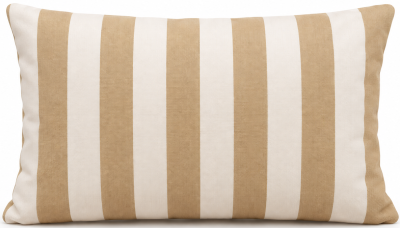 Подушка декоративная Nardi Maximo 60x40 EXTRA_Studio акрил Lines Integral Фото 1